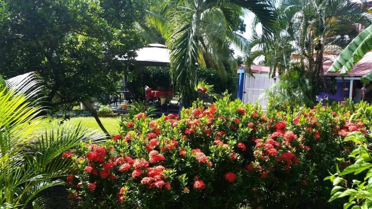 Posada Nativa Licy San Andres  Exterior photo